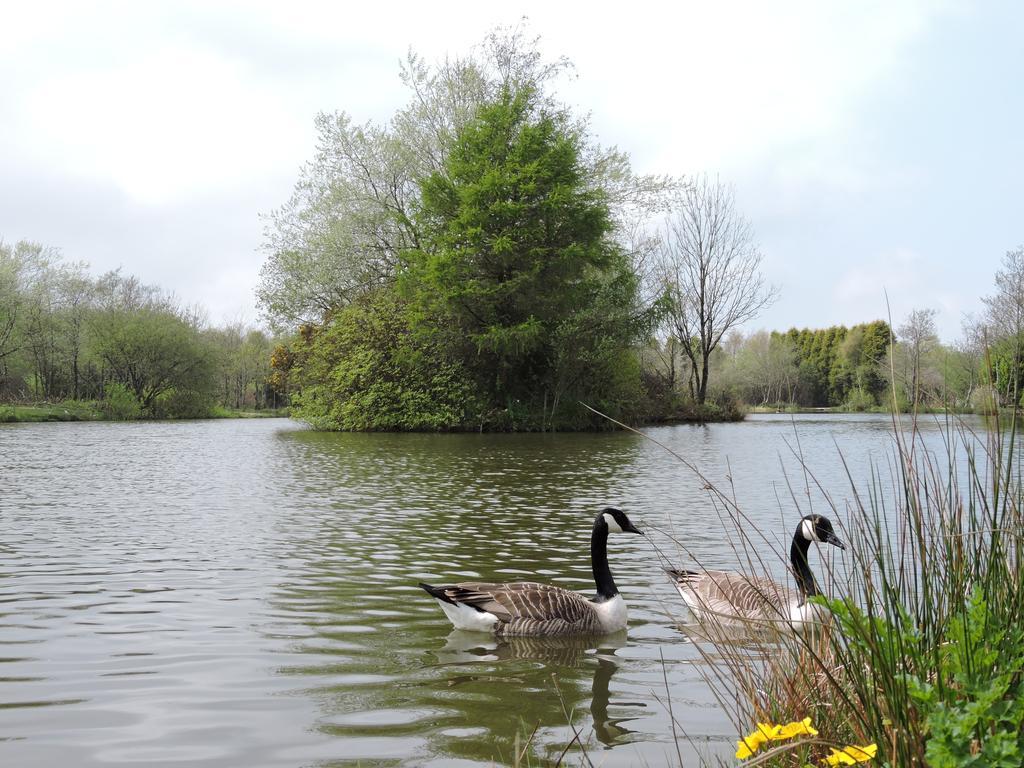 Bodmin Holiday Park Lanivet Bagian luar foto